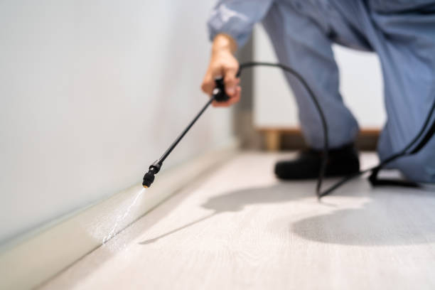 Professional exterminator conducting IPM assessment in Barboursville